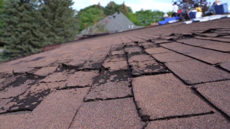 Best Tile Roofing Installation  in Cutten, CA