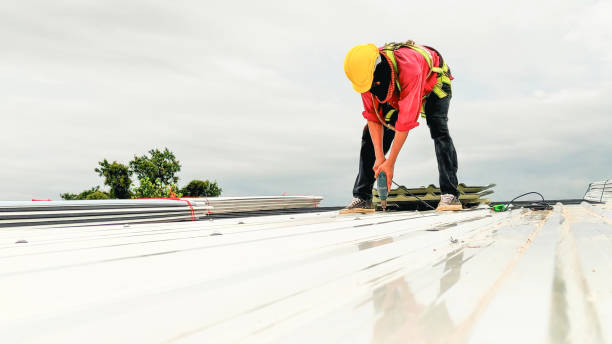 Best Roof Ventilation Installation  in Cutten, CA
