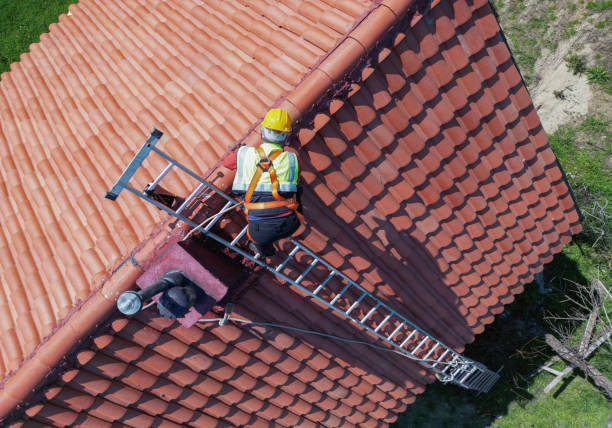 Best Sheet Metal Roofing  in Cutten, CA